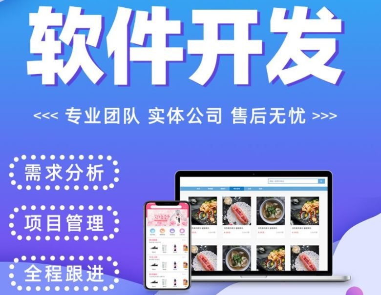 程序设计ai软件开发web网站系统定制作java微信小程序c#物联网app